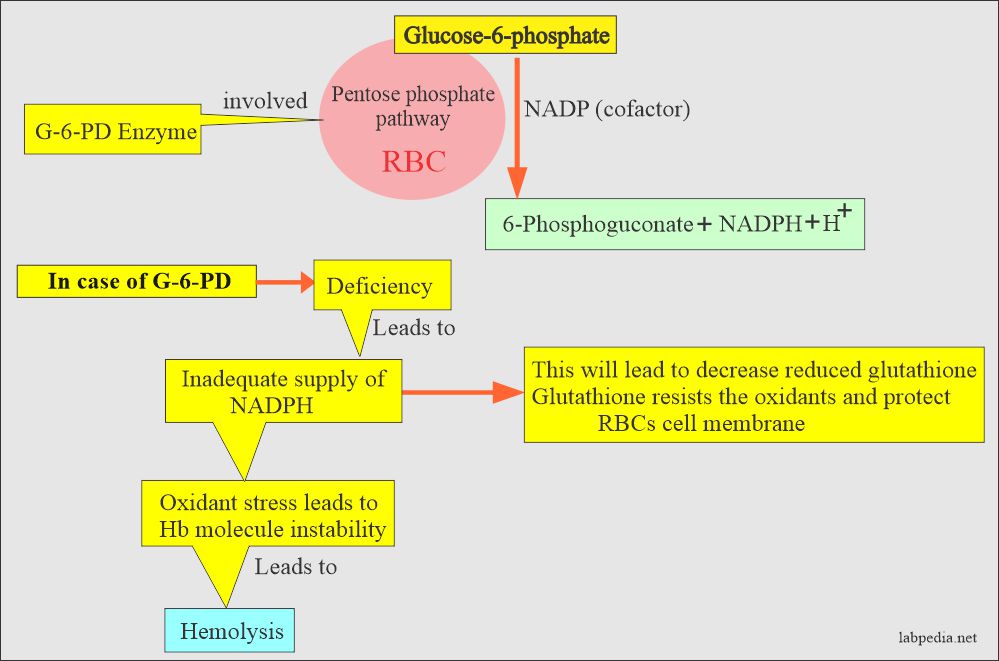 G6PD deficiency mechanism
