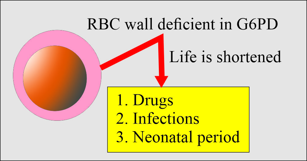 G6PD effect on RBCs