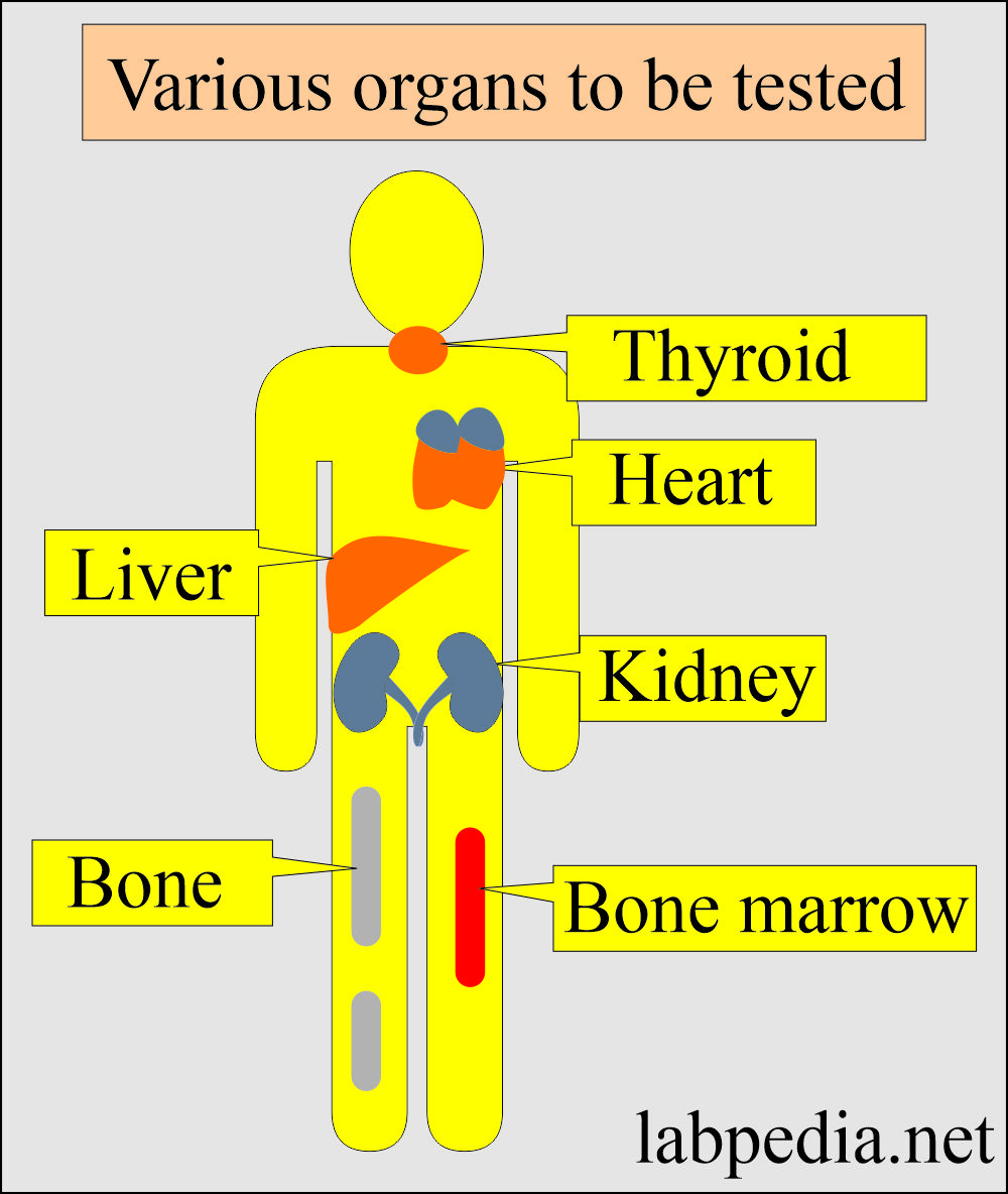 Summary of Routine Important Blood Tests: Various Organs to be tested