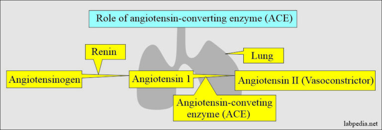 Diagnostic value of various enzymes