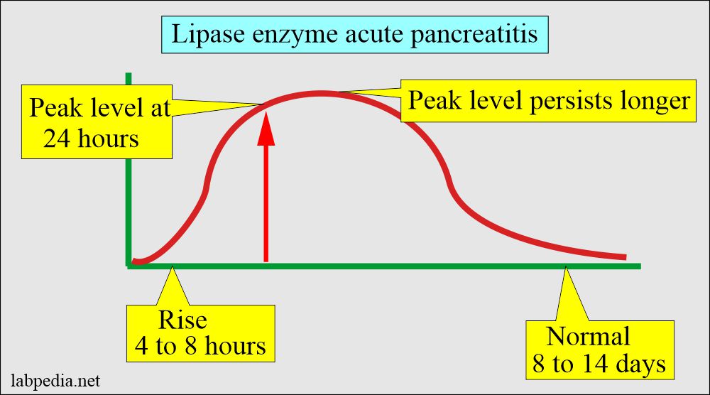 Lipase enzyme in acute pancreatitis