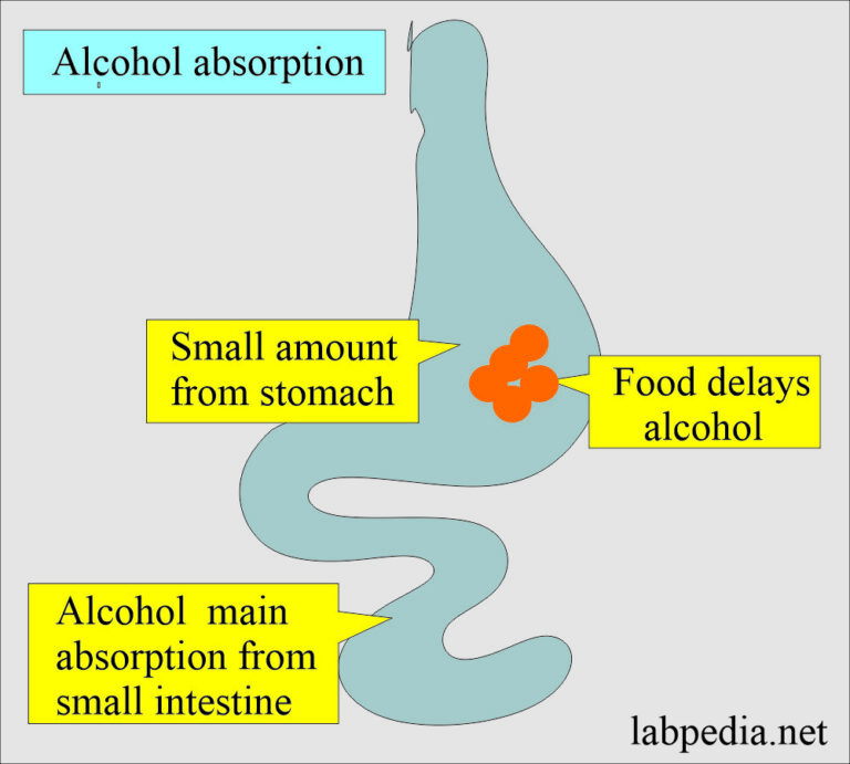 Alcohol and Its Complications