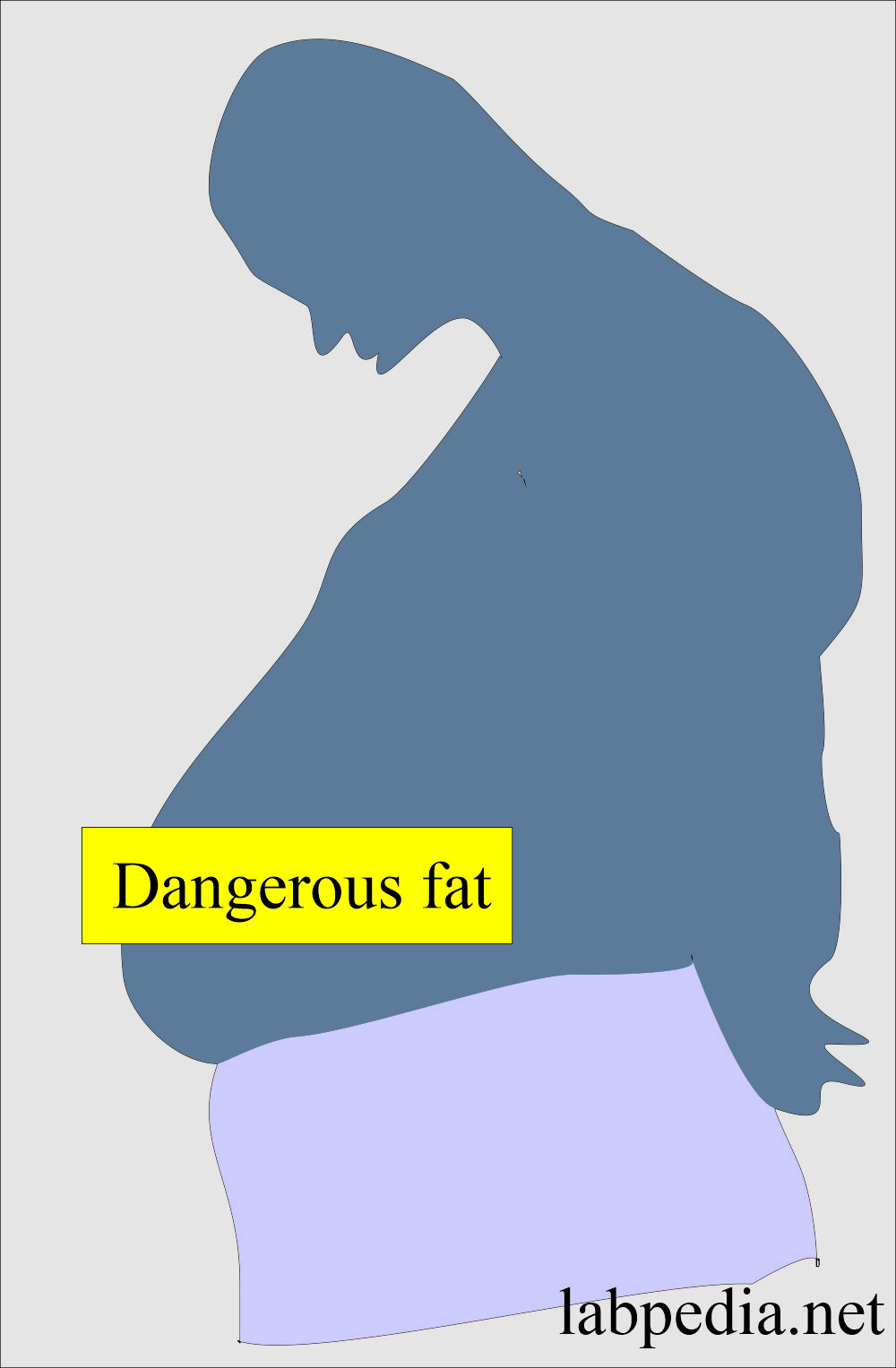 Belly fat is dangerous