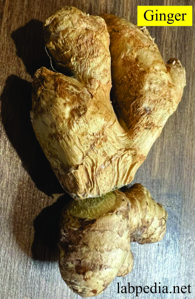 Ginger and its Benefits