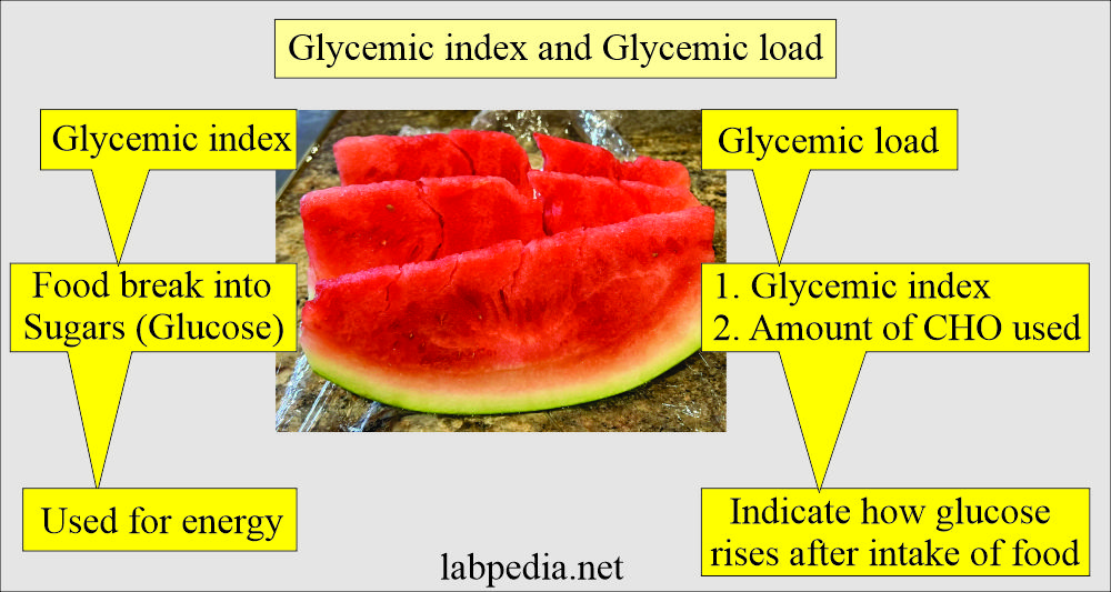 Glycemic Index And Glycemic Load Part 51 OFF