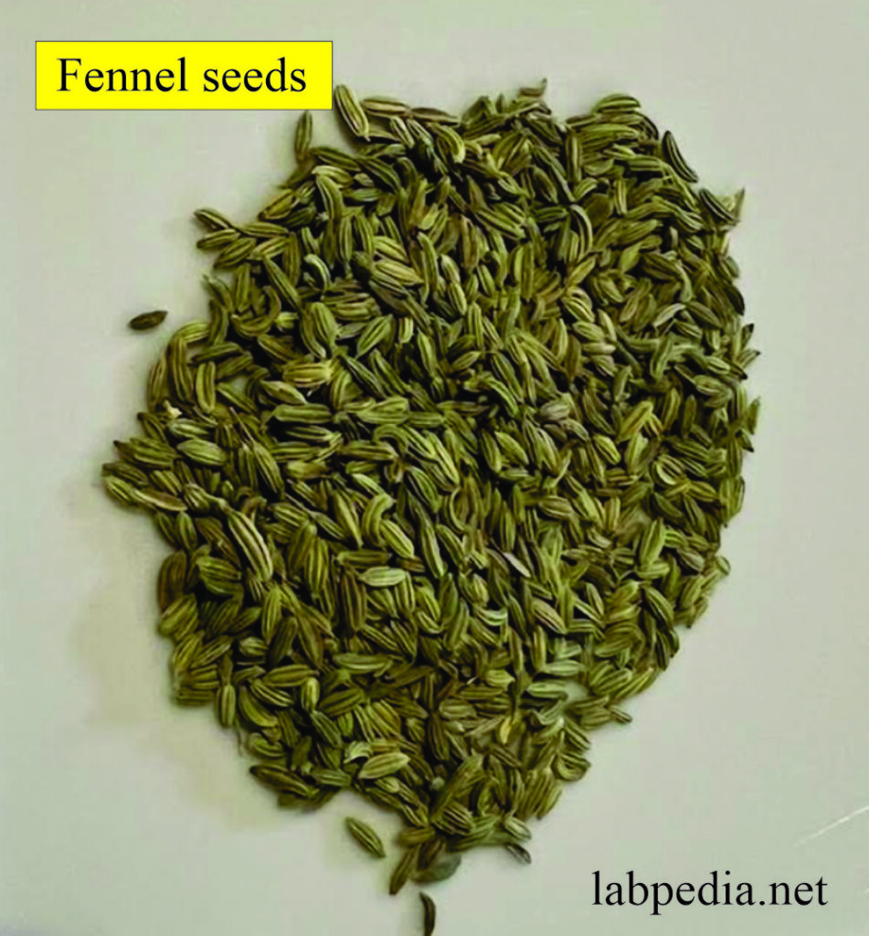 How to Make Digestive Tea?