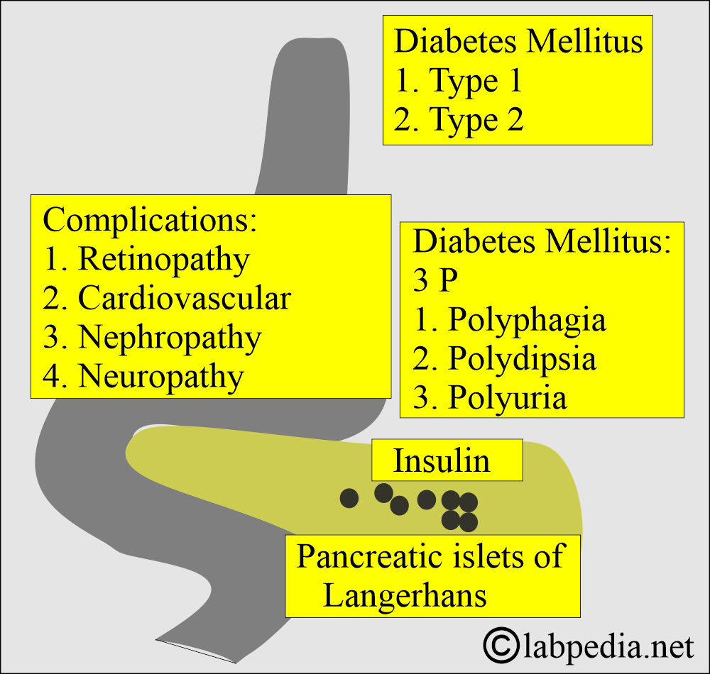 Diabetes mellitus introduction